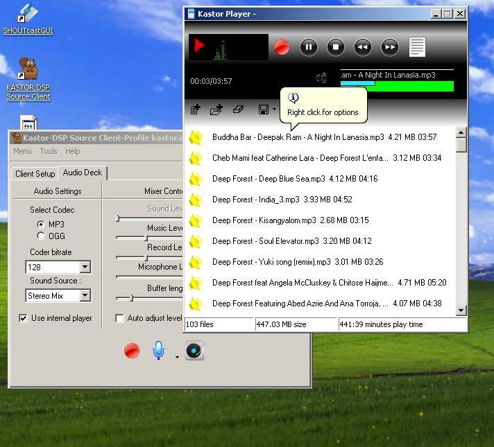 Icefx-server