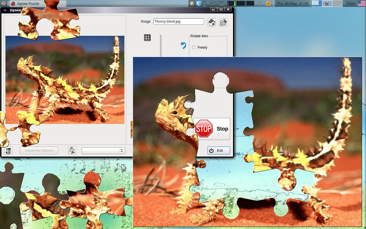 xjiggui a jigsaw puzzle game to run in Linux online