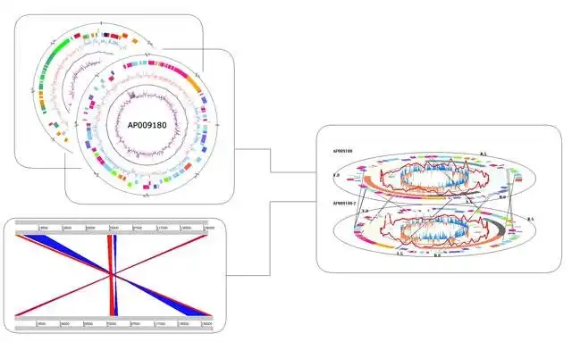 Download web tool or web app 3D Genome Tuner