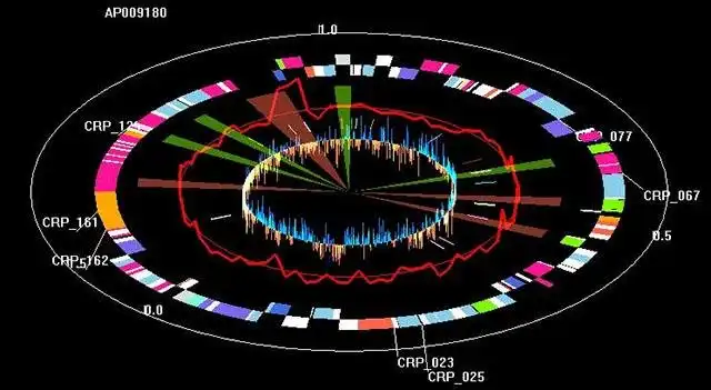 Download web tool or web app 3D Genome Tuner