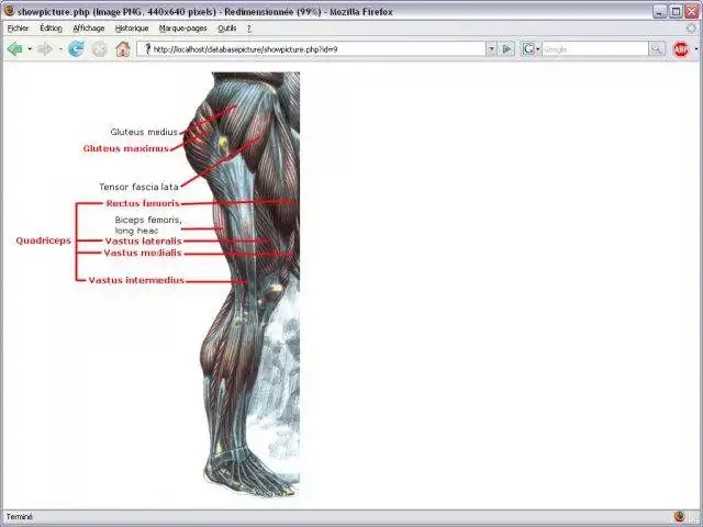 Download web tool or web app Add Pictures to Database