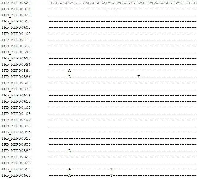 下载网络工具或网络应用程序 ADOMA