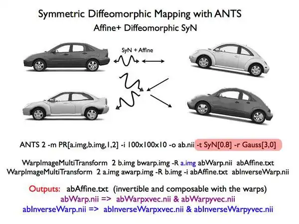 Download web tool or web app Advanced Normalization Tools ( ANTs ) to run in Linux online