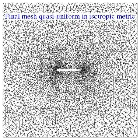 Scarica lo strumento web o l'app web Strumenti numerici avanzati 2D