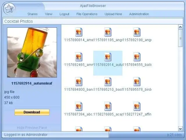 Download web tool or web app Ajax File Browser