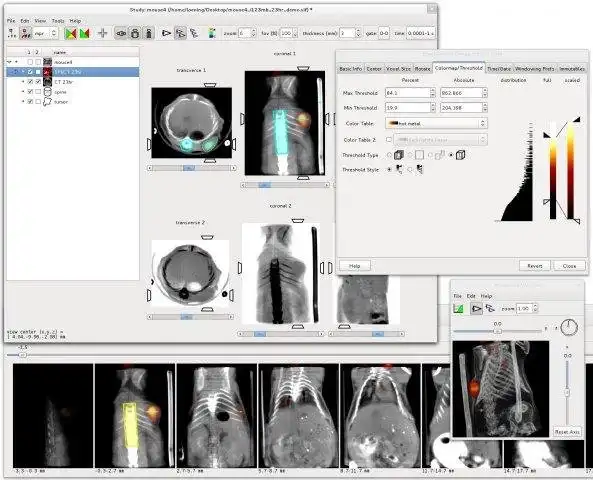 Laden Sie das Web-Tool oder die Web-App AMIDE herunter