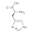 Безкоштовно завантажте програму Aminoacid Converter для Windows, щоб запускати в мережі Wine в Ubuntu онлайн, Fedora онлайн або Debian онлайн