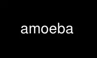 Run amoeba in OnWorks free hosting provider over Ubuntu Online, Fedora Online, Windows online emulator or MAC OS online emulator