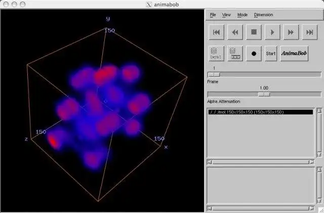 Scarica lo strumento web o l'app web AnimaBob