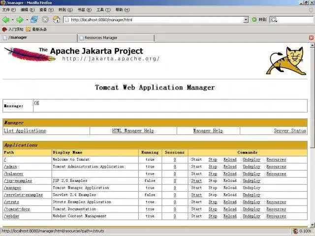 Загрузите веб-инструмент или веб-приложение Apache Tomcat Resources Manager Module