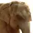 Free download A PostgreSQL Interface for Tcl Windows app to run online win Wine in Ubuntu online, Fedora online or Debian online