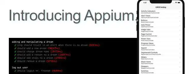 Download web tool or web app Appium