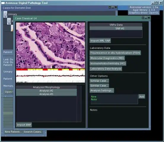 Download web tool or web app Avenzoar Digital Pathology Tool