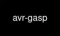 Magpatakbo ng avr-gasp sa OnWorks na libreng hosting provider sa Ubuntu Online, Fedora Online, Windows online emulator o MAC OS online emulator