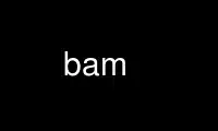 Run bam in OnWorks free hosting provider over Ubuntu Online, Fedora Online, Windows online emulator or MAC OS online emulator