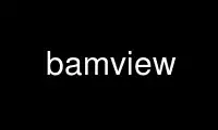 Run bamview in OnWorks free hosting provider over Ubuntu Online, Fedora Online, Windows online emulator or MAC OS online emulator