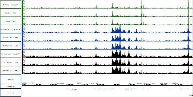 Загрузите веб-инструмент или веб-приложение BarraCUDA Fast Short Read Aligner