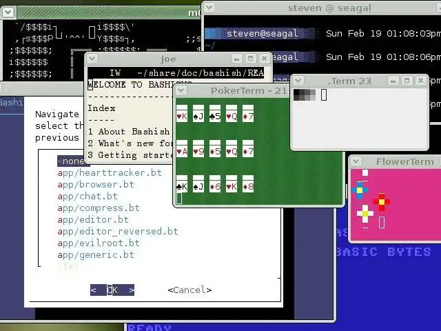 Download web tool or web app Bashish
