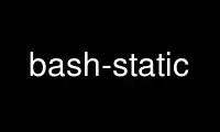 Execute bash-static no provedor de hospedagem gratuita OnWorks no Ubuntu Online, Fedora Online, emulador online do Windows ou emulador online do MAC OS