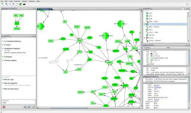 Download web tool or web app Biological Network Analyzer to run in Linux online