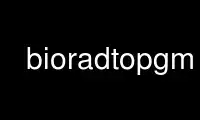 Run bioradtopgm in OnWorks free hosting provider over Ubuntu Online, Fedora Online, Windows online emulator or MAC OS online emulator