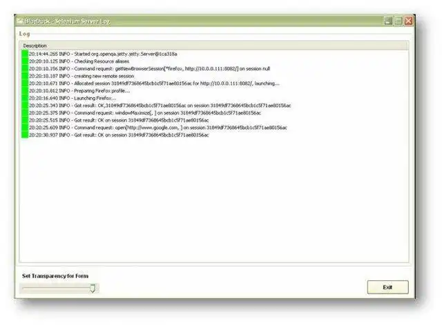 Загрузите веб-инструмент или веб-приложение BlueDuck Selenium Remote Control