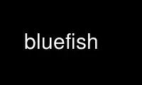 Voer bluefish uit in de gratis hostingprovider van OnWorks via Ubuntu Online, Fedora Online, Windows online emulator of MAC OS online emulator