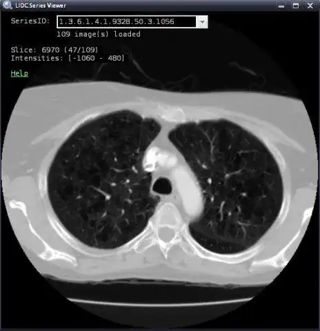 Download web tool or web app BRISC Image Retrieval System