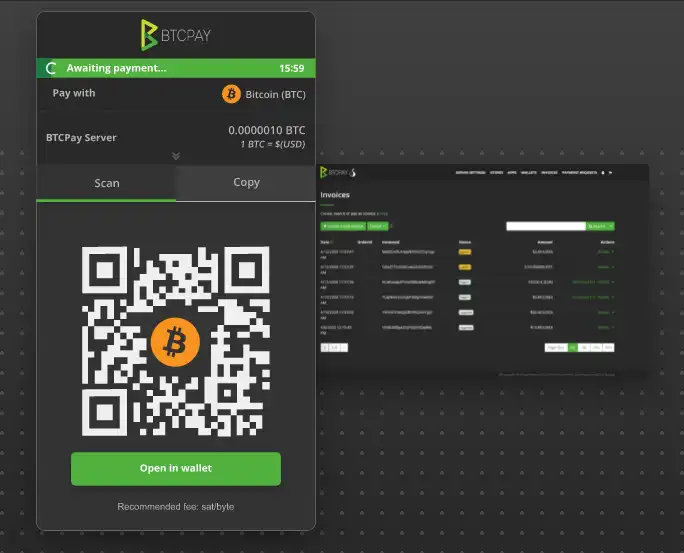 Download web tool or web app BTCPay Server