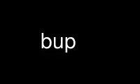 Run bup in OnWorks free hosting provider over Ubuntu Online, Fedora Online, Windows online emulator or MAC OS online emulator