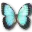 Free download Butterfly Javascript Game to run in Windows online over Linux online Windows app to run online win Wine in Ubuntu online, Fedora online or Debian online