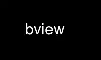 Run bview in OnWorks free hosting provider over Ubuntu Online, Fedora Online, Windows online emulator or MAC OS online emulator