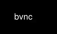Run bvnc in OnWorks free hosting provider over Ubuntu Online, Fedora Online, Windows online emulator or MAC OS online emulator