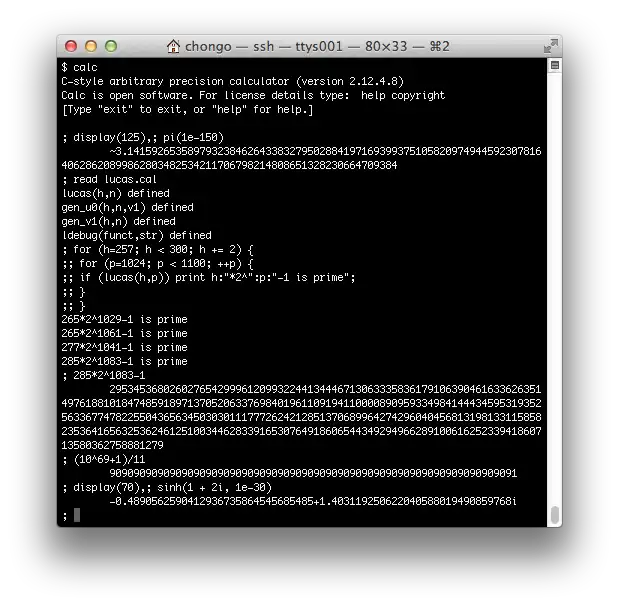 Download web tool or web app calc: C-style arbitrary precision system