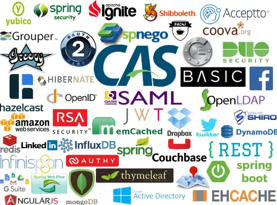 ดาวน์โหลดเครื่องมือเว็บหรือเว็บแอป Central Authentication Service (CAS)