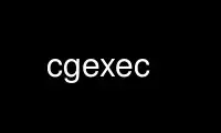 Run cgexec in OnWorks free hosting provider over Ubuntu Online, Fedora Online, Windows online emulator or MAC OS online emulator