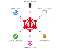 Download web tool or web app ChilliCream GraphQL Platform
