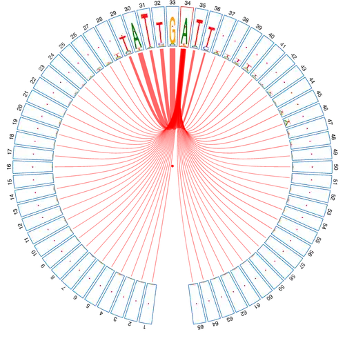 Download web tool or web app CircularLogo to run in Windows online over Linux online