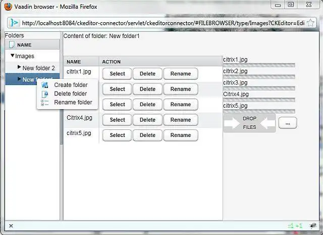 Download web tool or web app CKEditor Java Connector