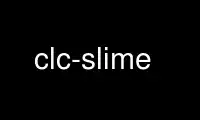 উবুন্টু অনলাইন, ফেডোরা অনলাইন, উইন্ডোজ অনলাইন এমুলেটর বা MAC OS অনলাইন এমুলেটরের মাধ্যমে OnWorks ফ্রি হোস্টিং প্রদানকারীতে clc-slime চালান
