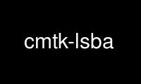 Run cmtk-lsba in OnWorks free hosting provider over Ubuntu Online, Fedora Online, Windows online emulator or MAC OS online emulator