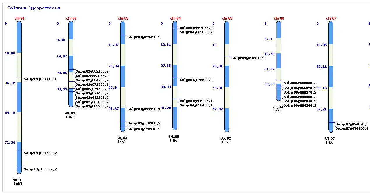 Download web tool or web app Comparative synteny analysis viewer