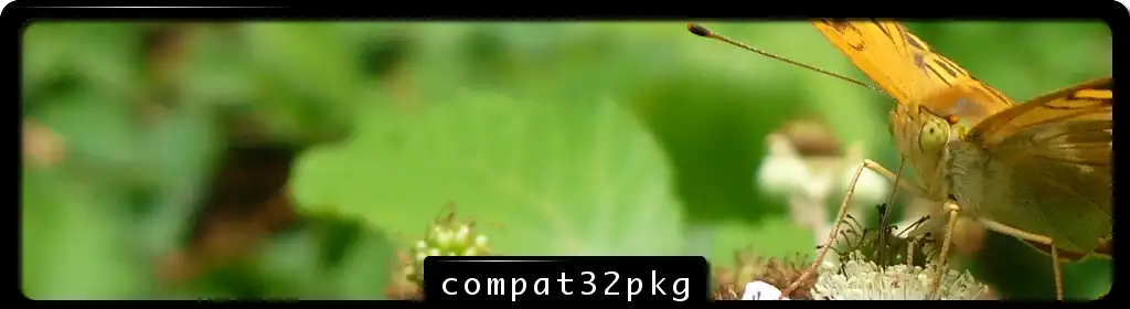 웹 도구 또는 웹 앱 compat32pkg 다운로드