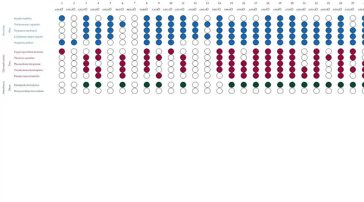 Download web tool or web app Coulson Plot Generator