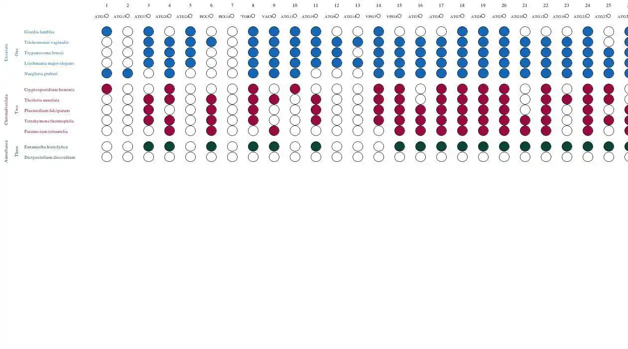Download web tool or web app Coulson Plot Generator to run in Windows online over Linux online