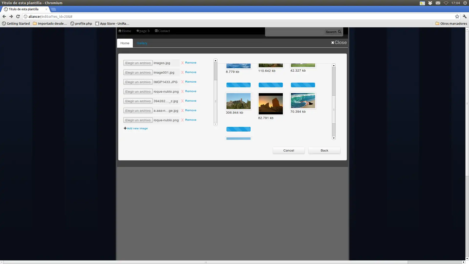 Download web tool or web app Customsite framework Example