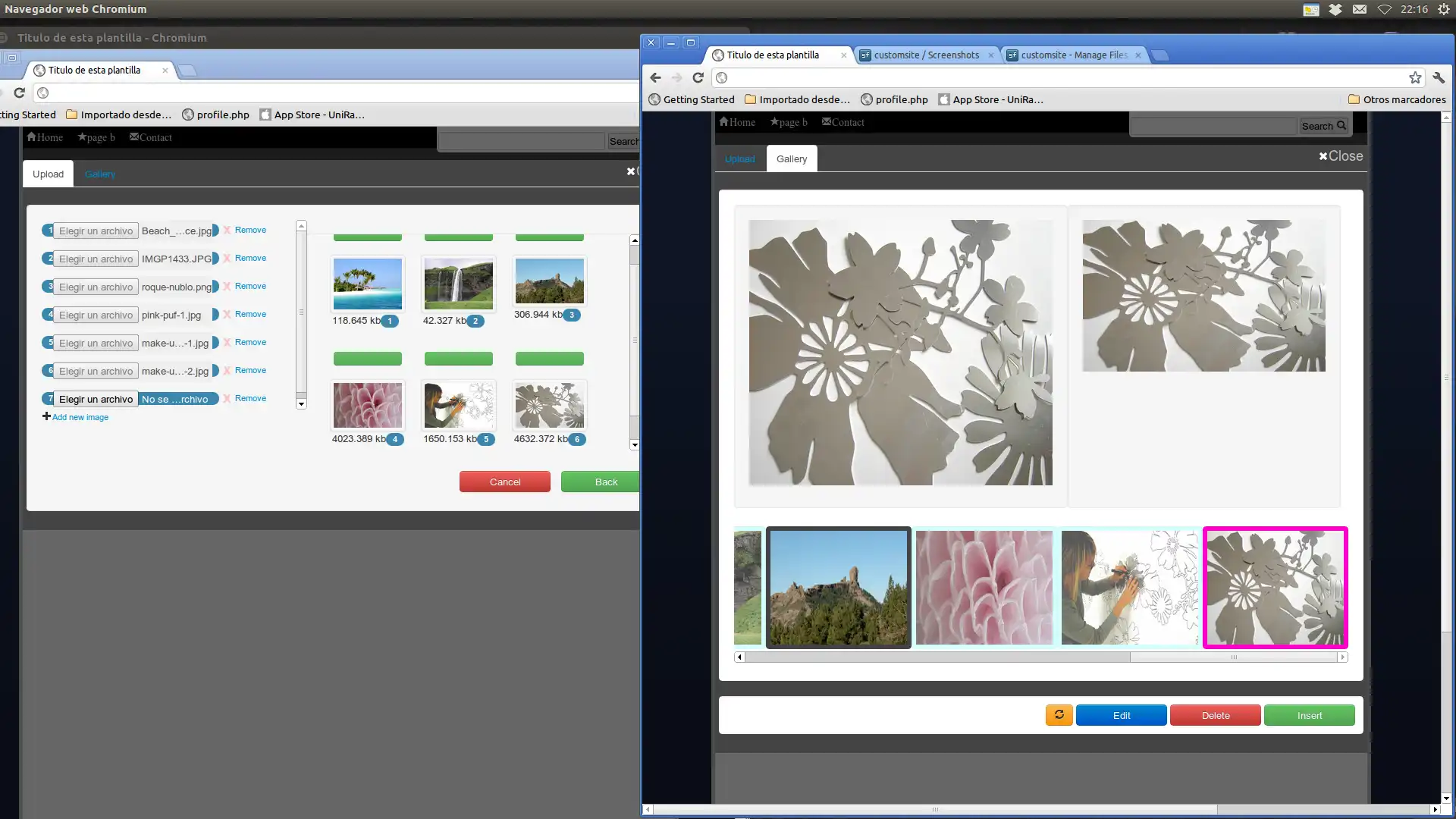 Download web tool or web app Customsite framework Example