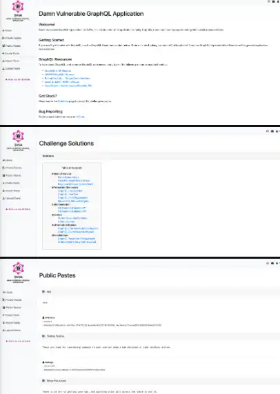 下载 web 工具或 web 应用程序 Damn Vulnerable GraphQL Application