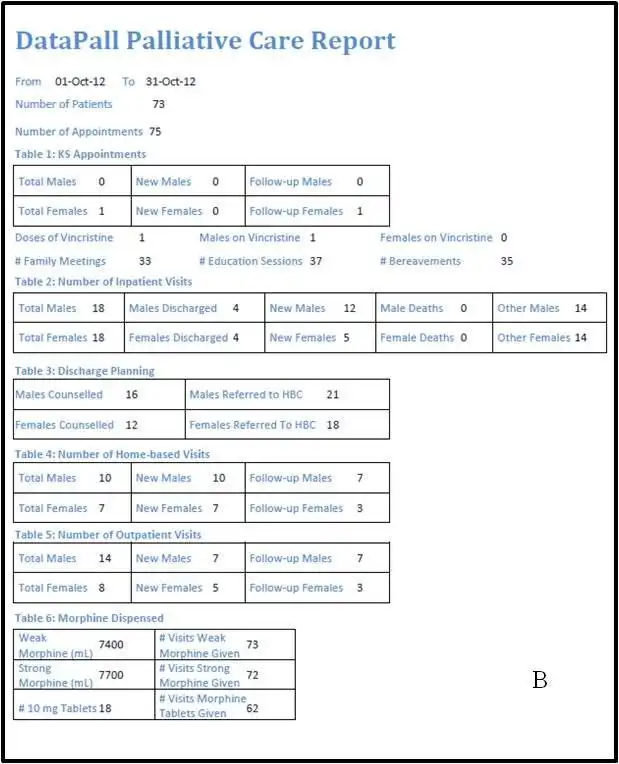 웹 도구 또는 웹 앱 DataPall Palliative Care EMR 다운로드