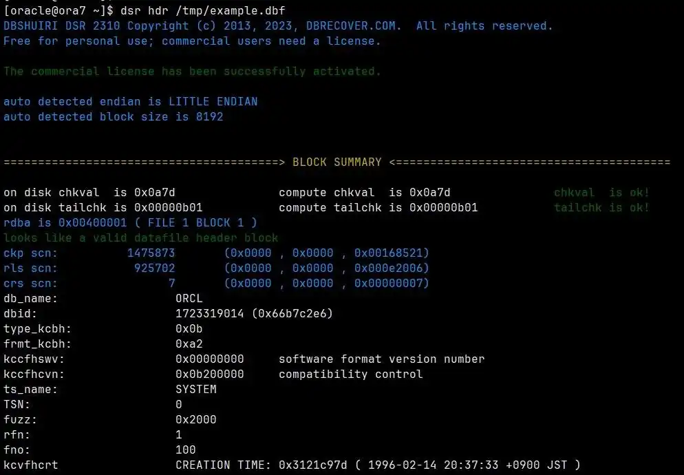 Download web tool or web app DBSHURI